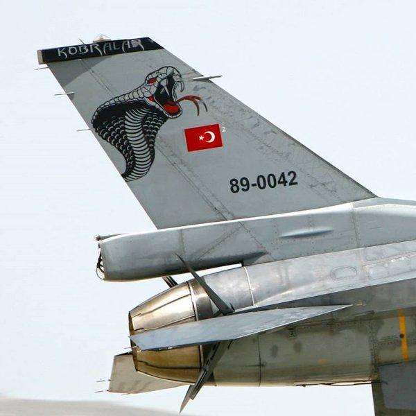 TSK'nın kullandığı tasarım harikası peçler ve armalar