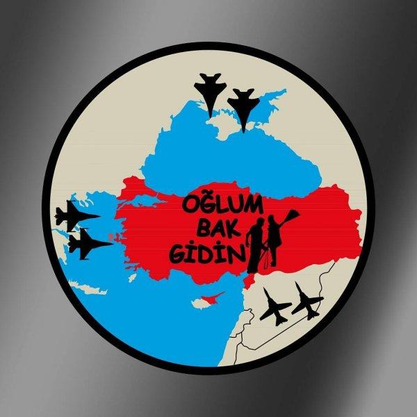 TSK'nın kullandığı tasarım harikası peçler ve armalar