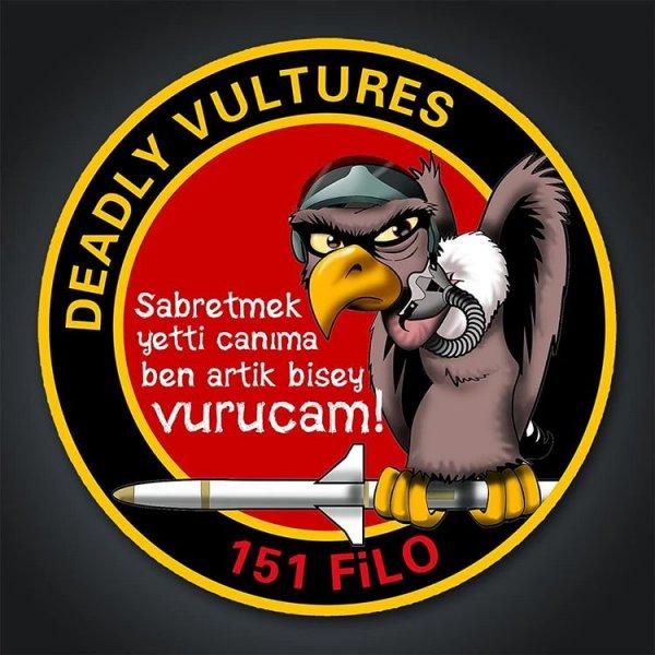 TSK'nın kullandığı tasarım harikası peçler ve armalar