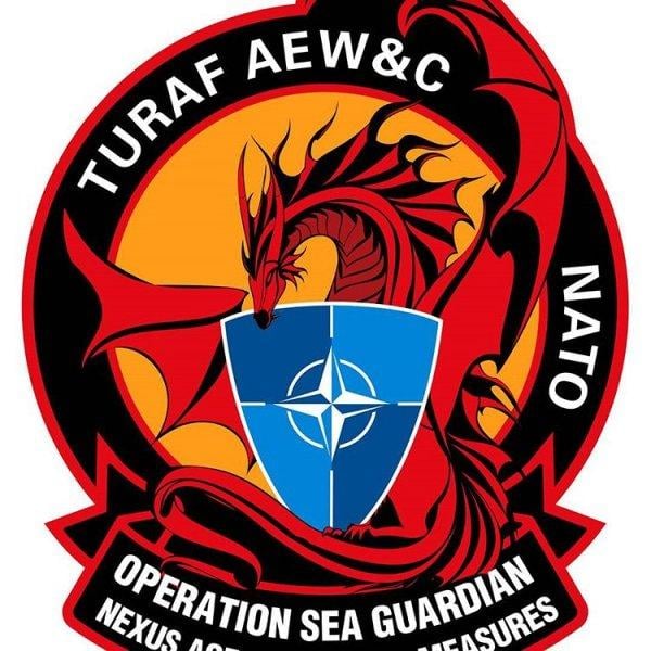 TSK'nın kullandığı tasarım harikası peçler ve armalar