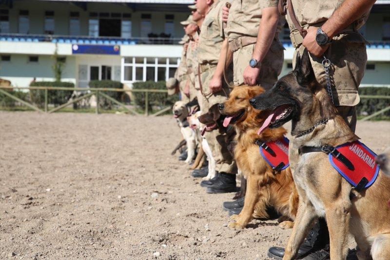 Jandarma ortaklarını sevgiyle büyütüyor