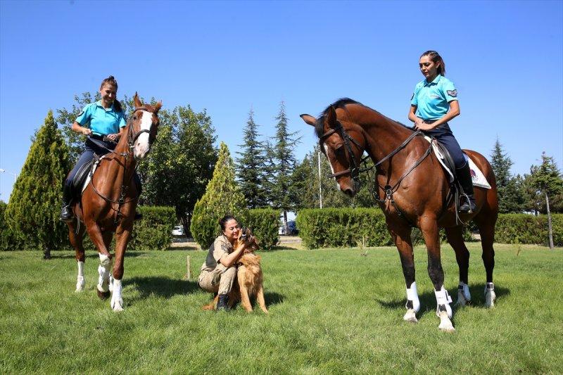 Jandarma ortaklarını sevgiyle büyütüyor