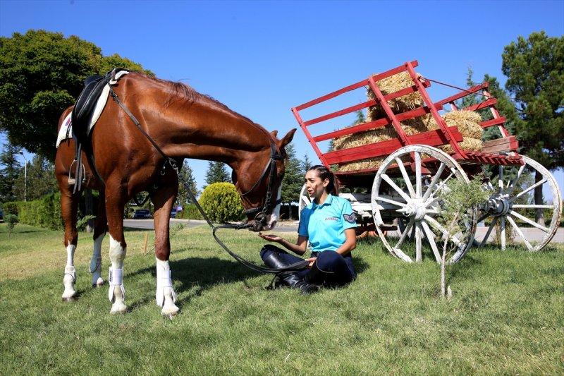 Jandarma ortaklarını sevgiyle büyütüyor