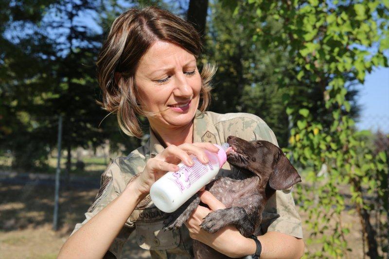 Jandarma ortaklarını sevgiyle büyütüyor