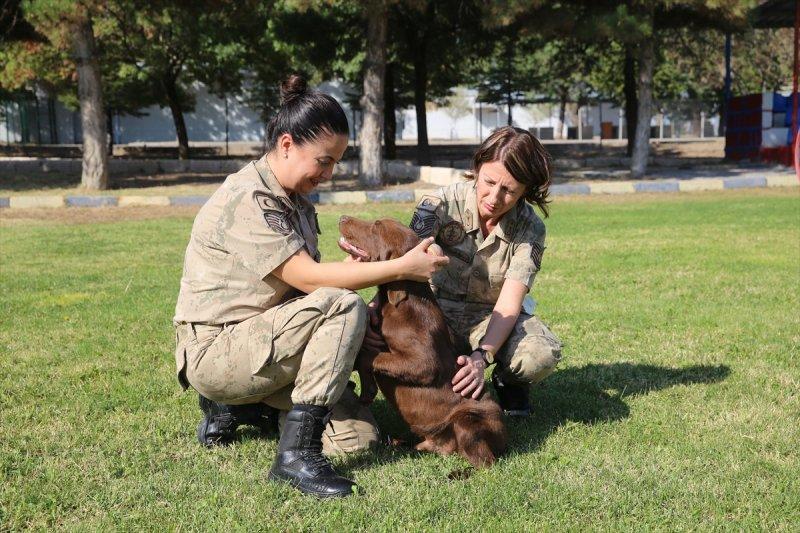 Jandarma ortaklarını sevgiyle büyütüyor