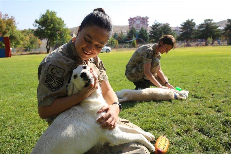 Jandarma ortaklarını sevgiyle büyütüyor