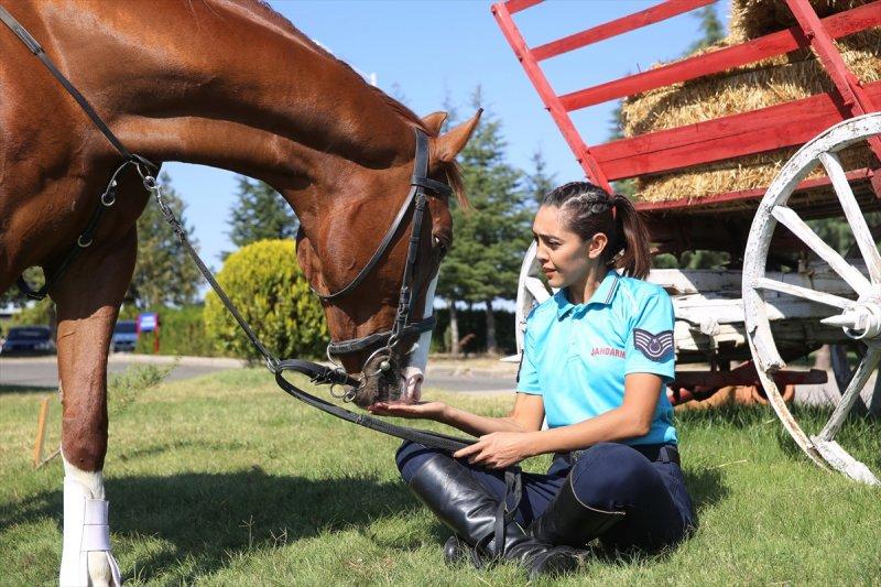 Jandarma ortaklarını sevgiyle büyütüyor