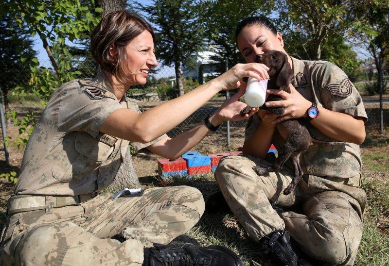 Jandarma ortaklarını sevgiyle büyütüyor