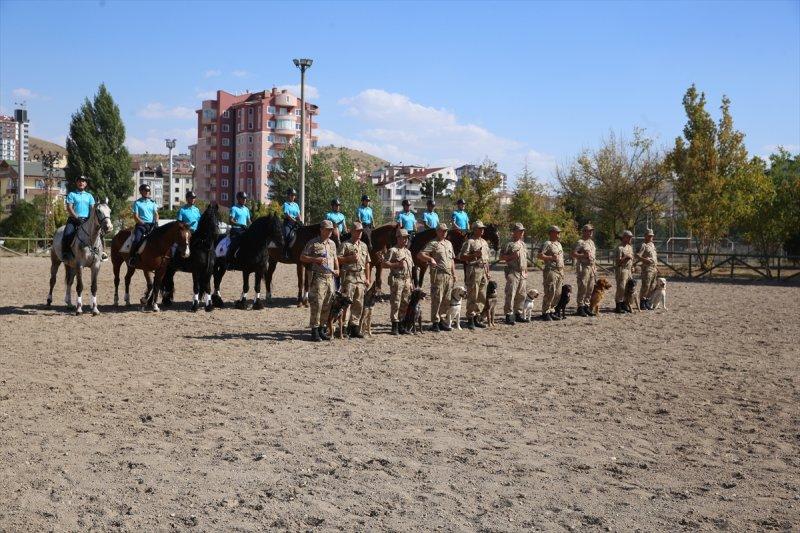 Jandarma ortaklarını sevgiyle büyütüyor