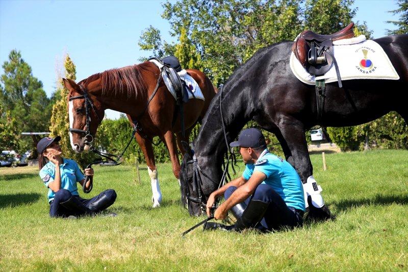 Jandarma ortaklarını sevgiyle büyütüyor