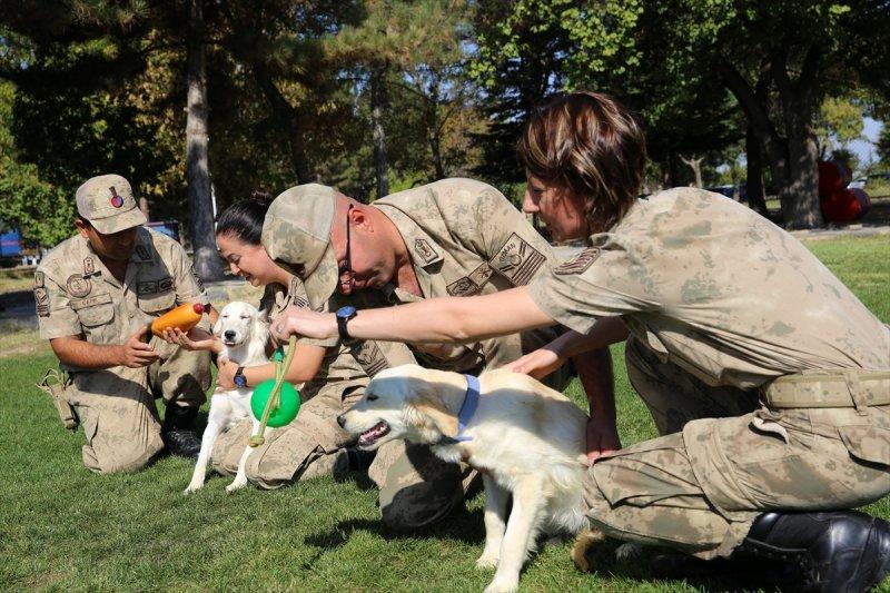 Jandarma ortaklarını sevgiyle büyütüyor