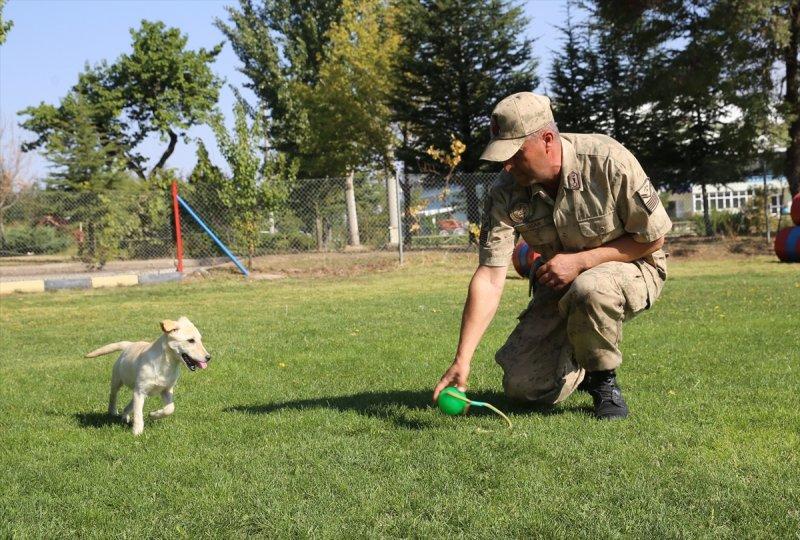 Jandarma ortaklarını sevgiyle büyütüyor