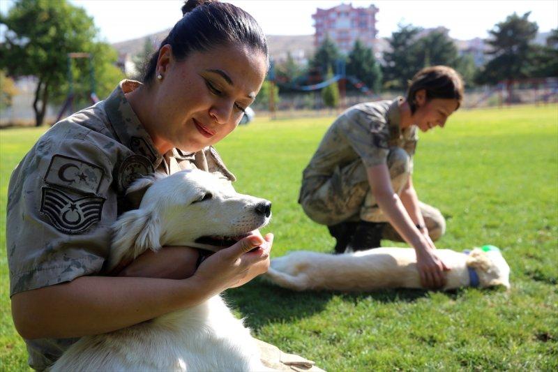 Jandarma ortaklarını sevgiyle büyütüyor