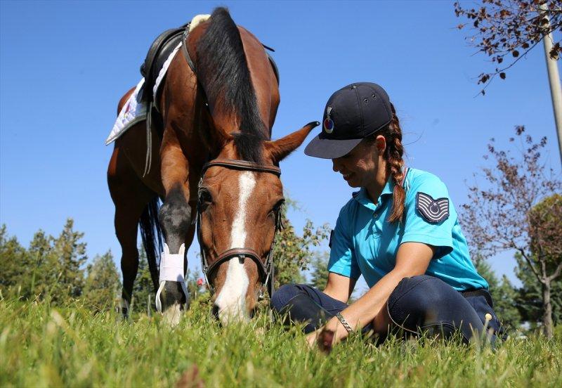 Jandarma ortaklarını sevgiyle büyütüyor