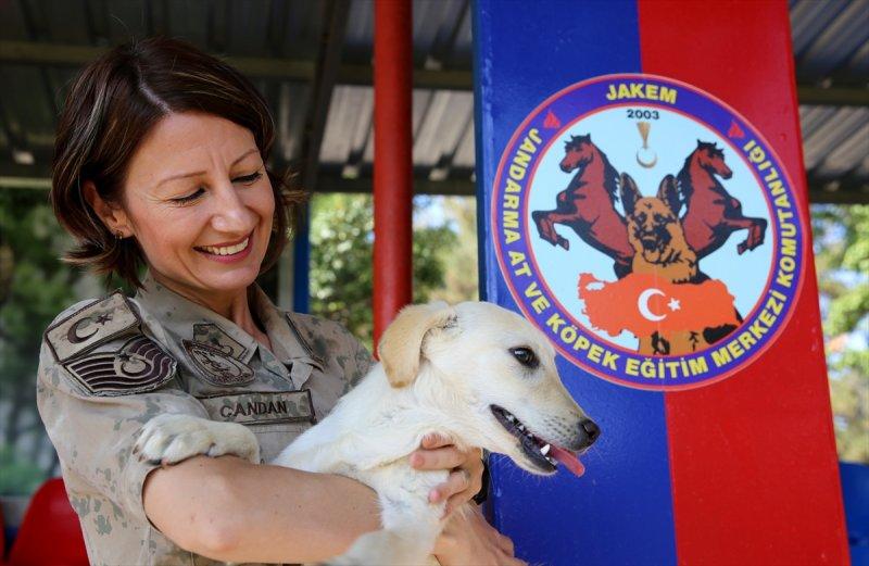 Jandarma ortaklarını sevgiyle büyütüyor