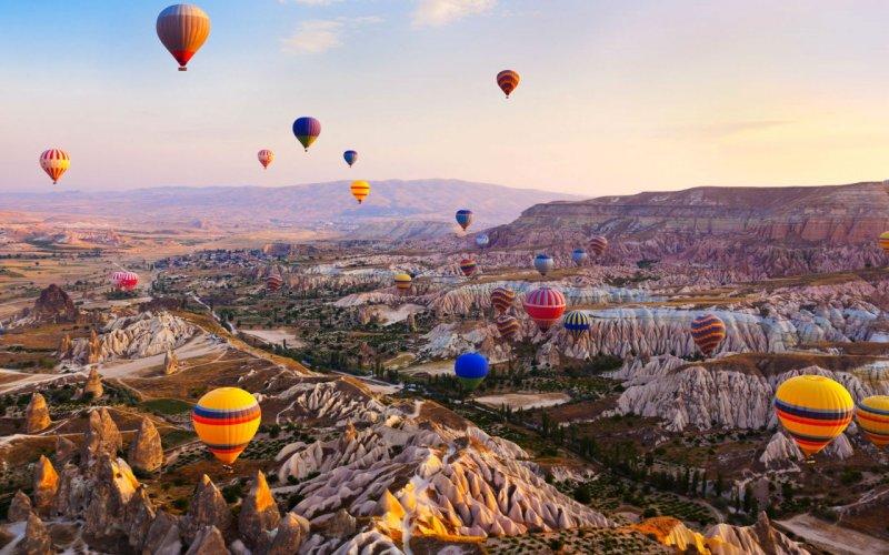 Şehirlerin fidan sahiplenme oranı