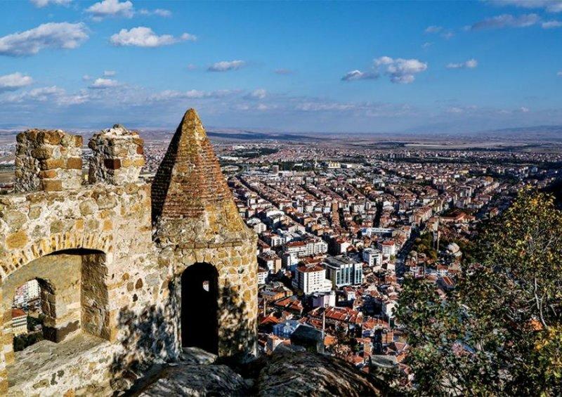 Şehirlerin fidan sahiplenme oranı