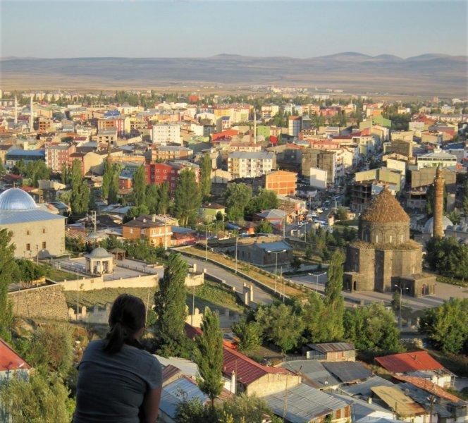 Şehirlerin fidan sahiplenme oranı