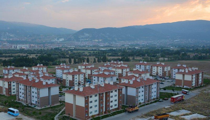 Şehirlerin fidan sahiplenme oranı