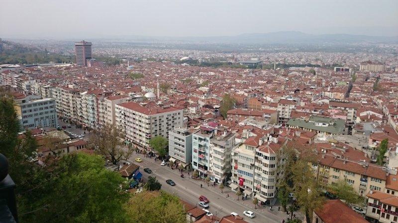 Şehirlerin fidan sahiplenme oranı