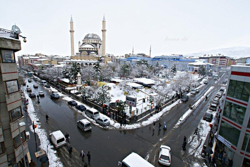 Şehirlerin fidan sahiplenme oranı