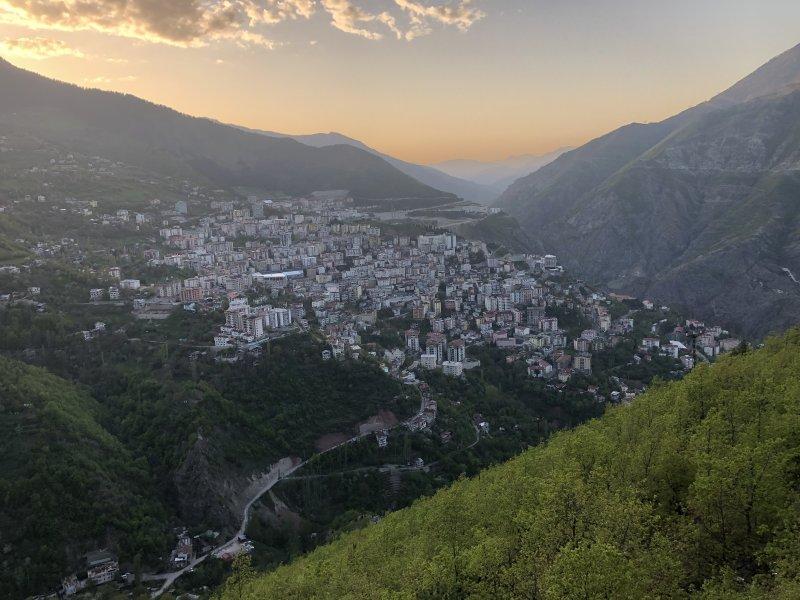 Şehirlerin fidan sahiplenme oranı