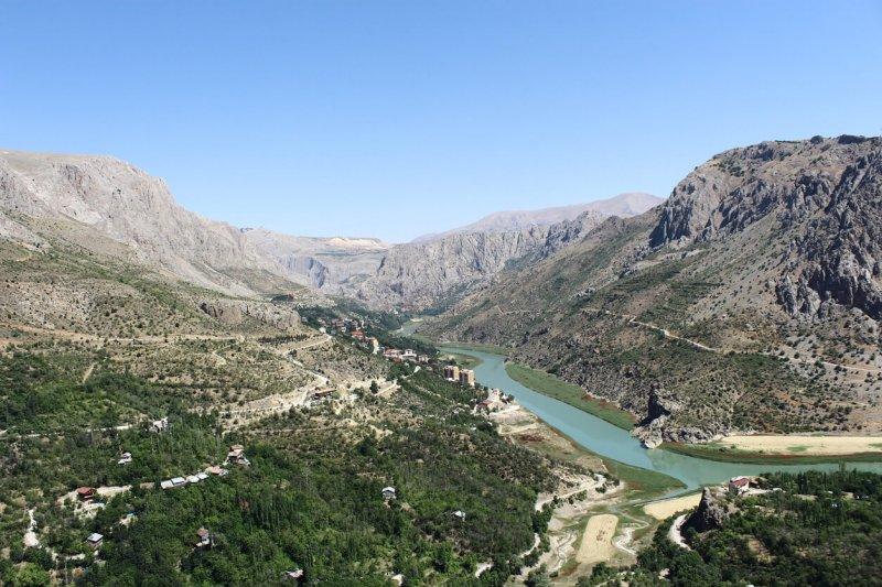 Şehirlerin fidan sahiplenme oranı