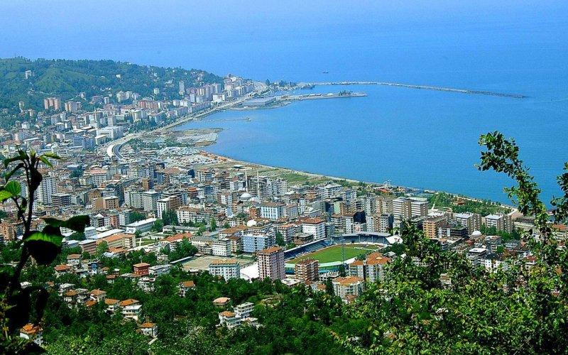 Şehirlerin fidan sahiplenme oranı