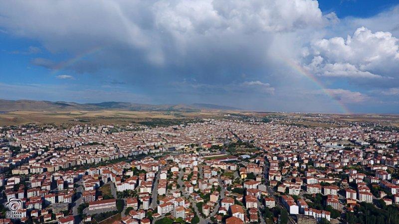 Şehirlerin fidan sahiplenme oranı