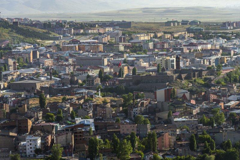 Şehirlerin fidan sahiplenme oranı