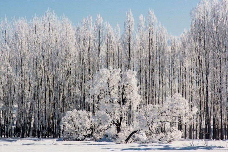 Tunceli'de kartpostallık görüntüler 