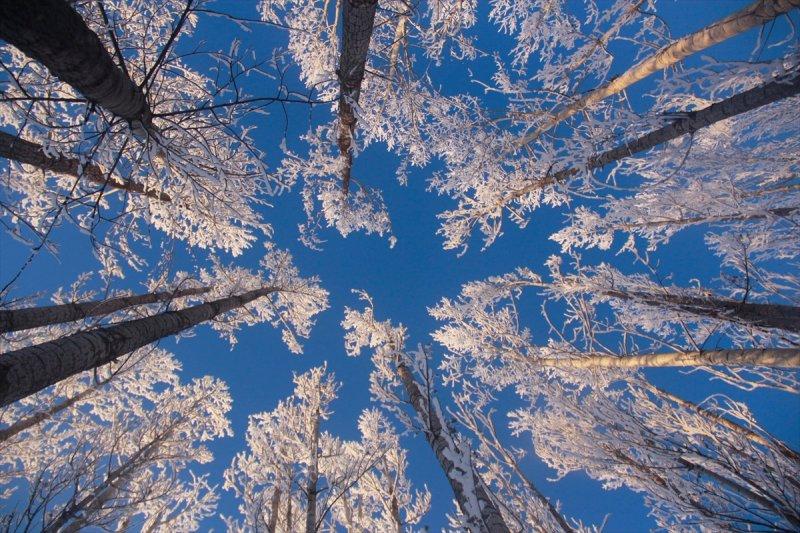 Tunceli'de kartpostallık görüntüler 