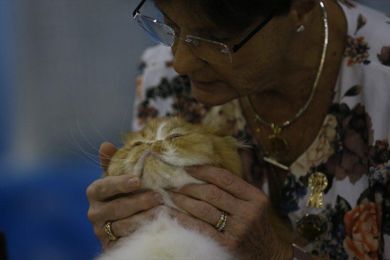 Rusya'da yüzlerce kedi fuarda buluştu