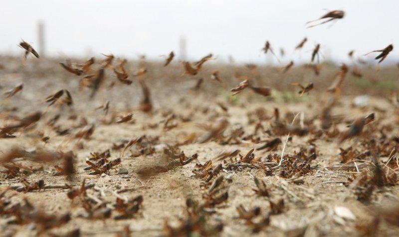 Dünya 2020 yılında zorlu bir sınav veriyor