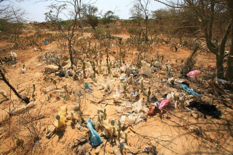 Gelecek 20 yıl içinde 500'den fazla hayvan yok olacak