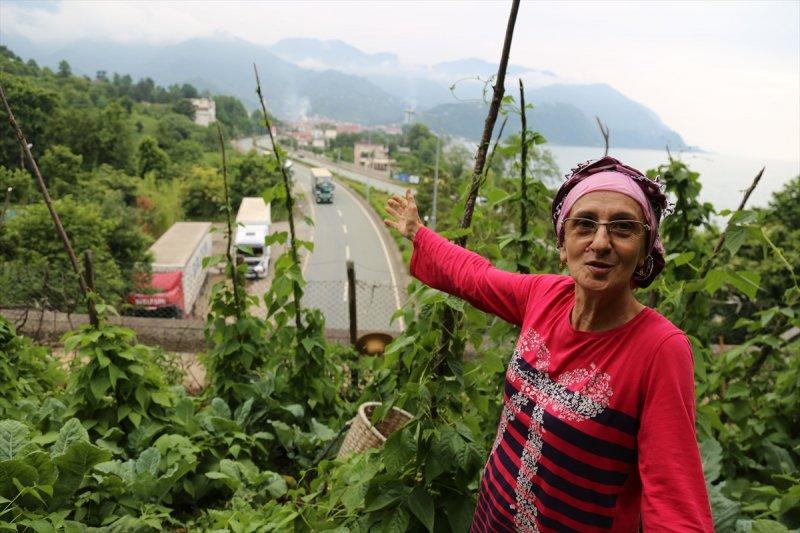 Artvin'de tünelin üstünü tarlaya çevirdiler