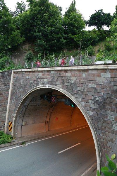 Artvin'de tünelin üstünü tarlaya çevirdiler