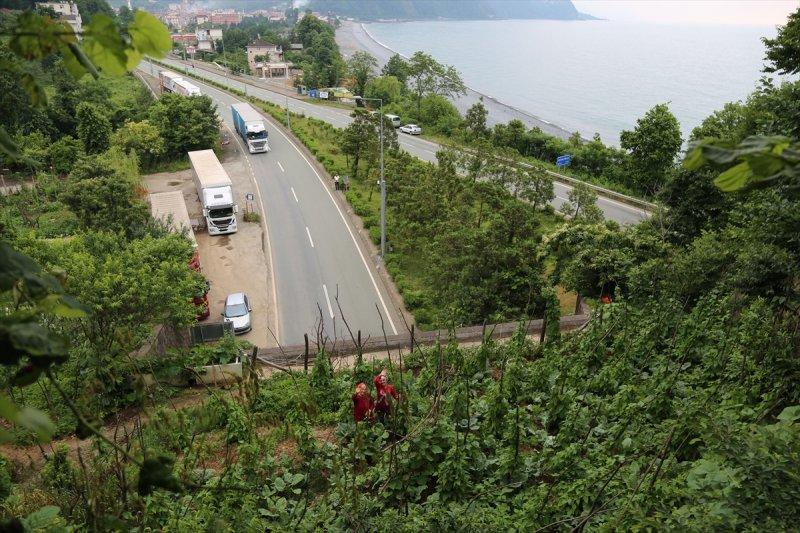 Artvin'de tünelin üstünü tarlaya çevirdiler