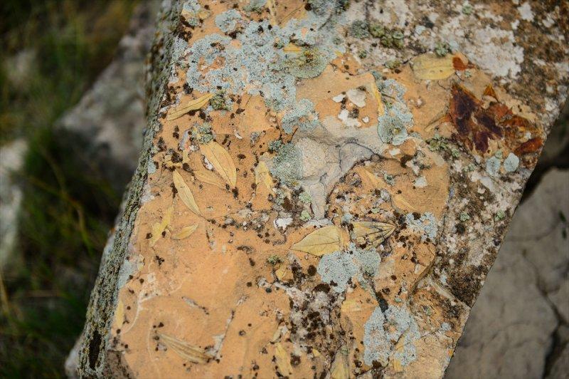 Ağrı Dağı, geçmişte deniz kenarı çıktı