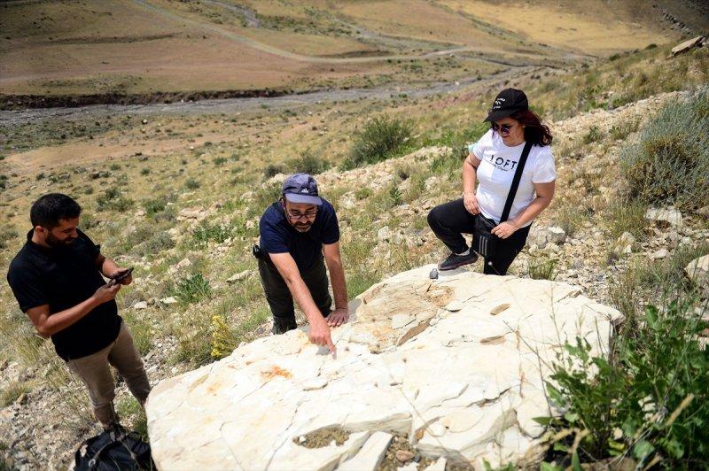 Ağrı Dağı, geçmişte deniz kenarı çıktı