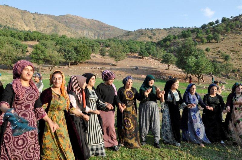 Hakkari'de berivanlar, süt sağmak için kilometrelerce yol yürüyorlar