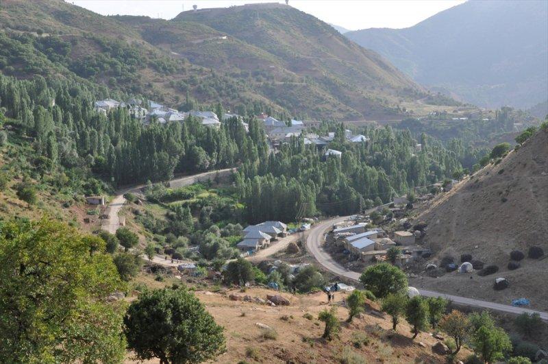 Hakkari'de berivanlar, süt sağmak için kilometrelerce yol yürüyorlar