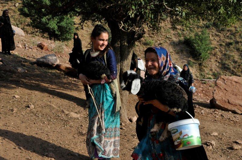 Hakkari'de berivanlar, süt sağmak için kilometrelerce yol yürüyorlar