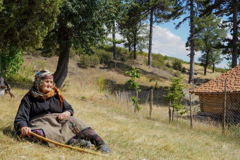 Firdevs Nine'nin ağladığı yanmış orman, yeniden büyüyor