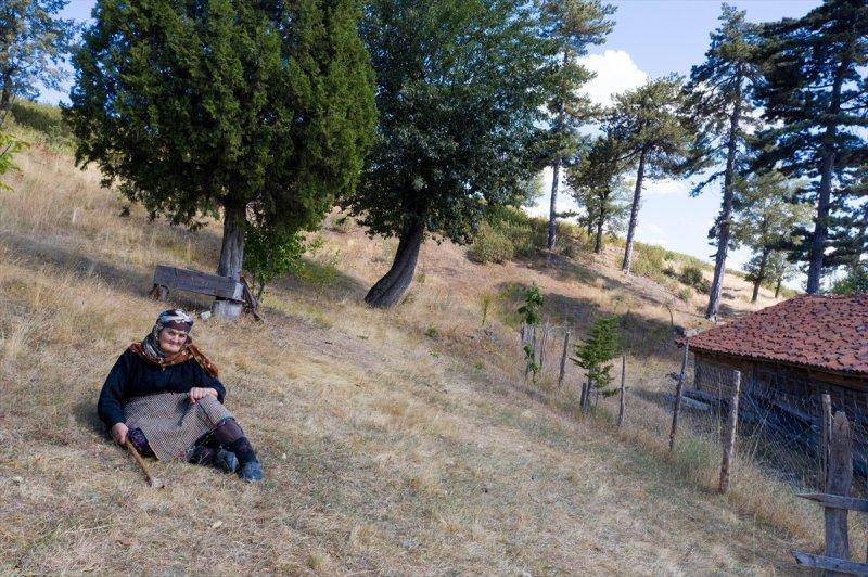 Firdevs Nine'nin ağladığı yanmış orman, yeniden büyüyor