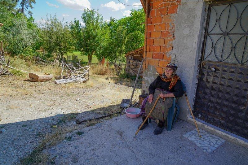 Firdevs Nine'nin ağladığı yanmış orman, yeniden büyüyor