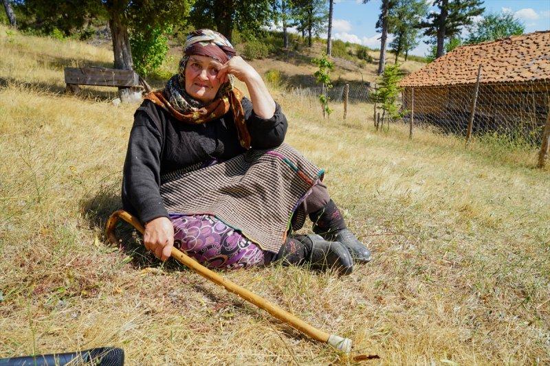 Firdevs Nine'nin ağladığı yanmış orman, yeniden büyüyor