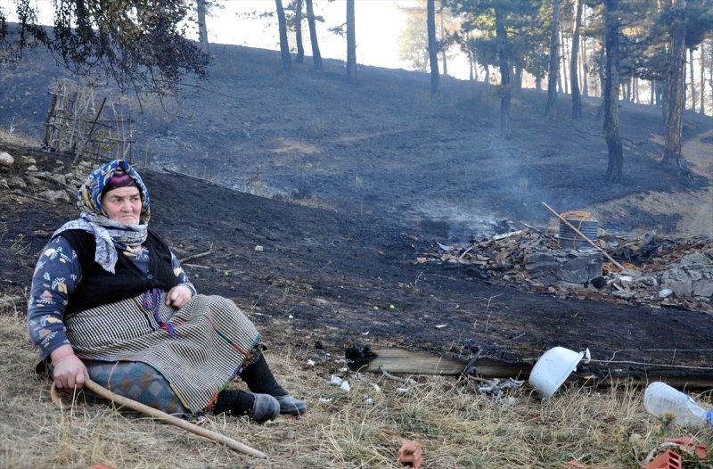 Firdevs Nine'nin ağladığı yanmış orman, yeniden büyüyor