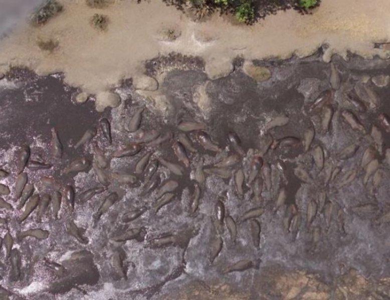 Dünya'ya farklı bir açıdan bakmanızı sağlayacak Google Earth fotoğrafları