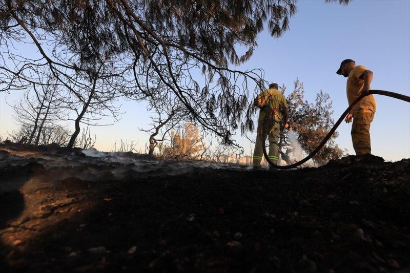 İzmir'de otlukta çıkan yangın, 50 aracı yaktı
